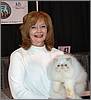 Merripaws Philly Jr of Miracle Paws Merripaws Philly Jr of Miracle Paws